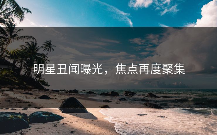 明星丑闻曝光，焦点再度聚集