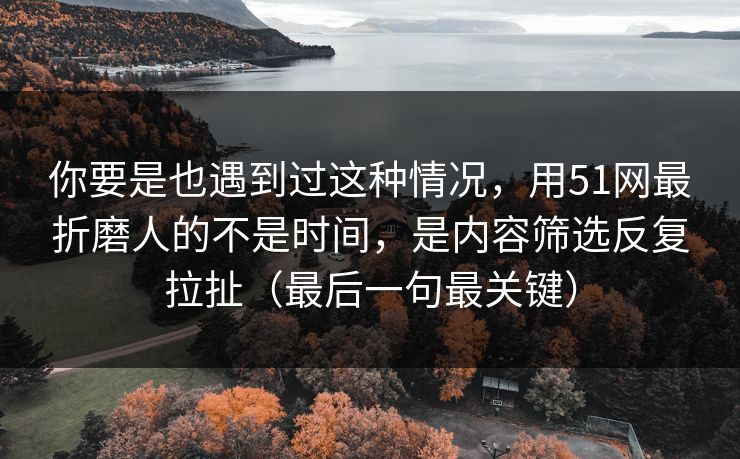 你要是也遇到过这种情况，用51网最折磨人的不是时间，是内容筛选反复拉扯（最后一句最关键）